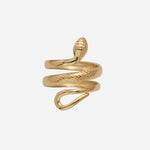 Snake-shaped Multi-loop Ring